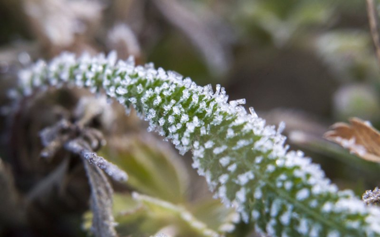 Napos, de hideg idő várható a hét elején