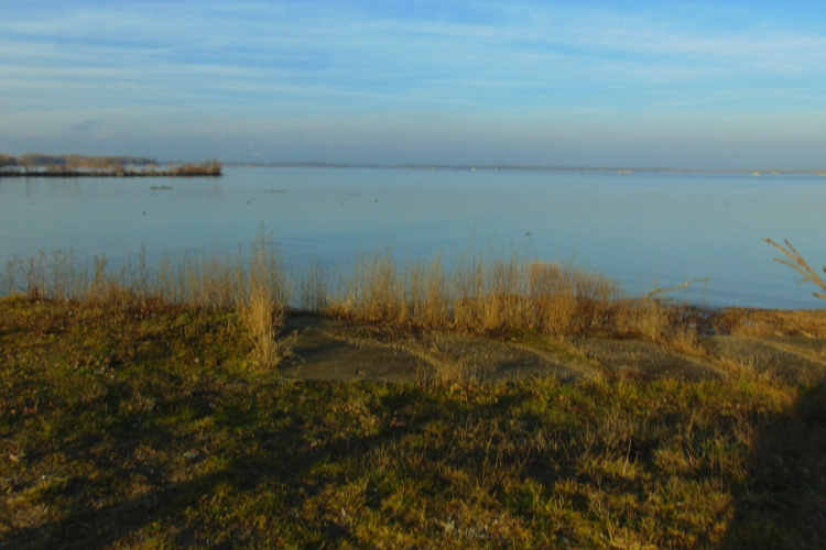 A víztározó madarász szemmel (Kalandozások a Szigetközben 1. rész)