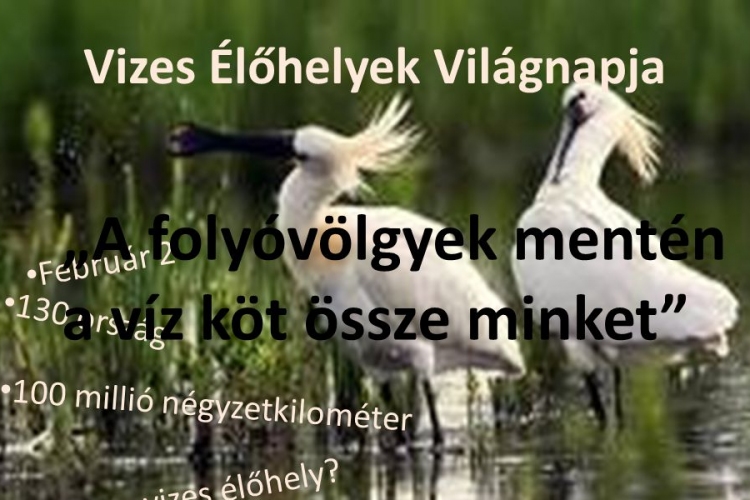 Vizes Élőhelyek Világnapja - február 2.