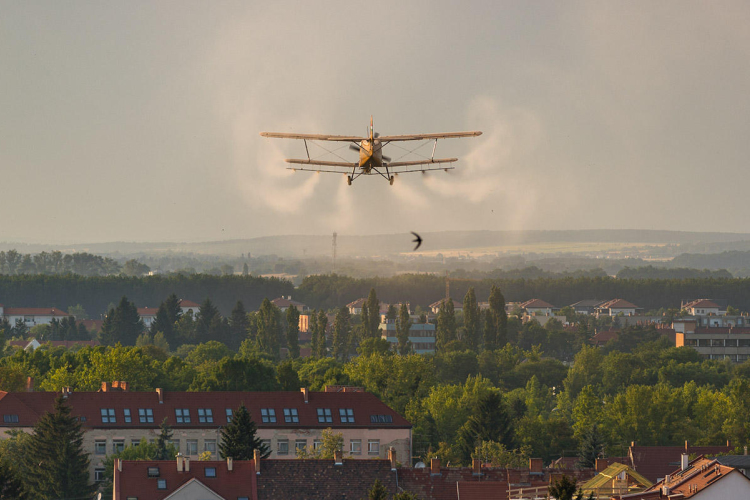  Folytatódik a szúnyoggyérítés 