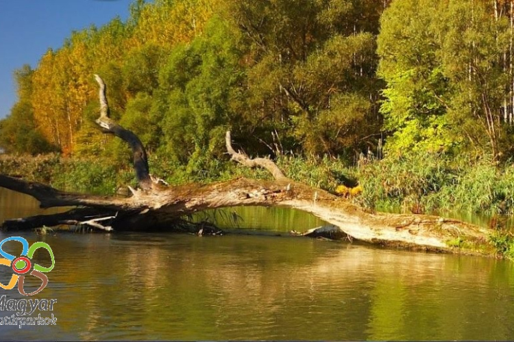 Újabb workshopok a Szigetközi Natúrparkért Dunakilitin